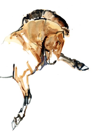 スタリオン（Przewalski）、2013（sennelierインク、水彩、ガッシュ） 作： Mark Adlington