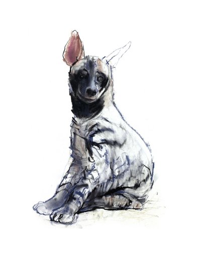 縞模様のハイエナの子犬（着席）、2010年（紙にコンテとパステル） 作： Mark Adlington