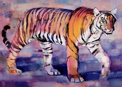 タイグレス、インド、カーナ、1999 作： Mark Adlington