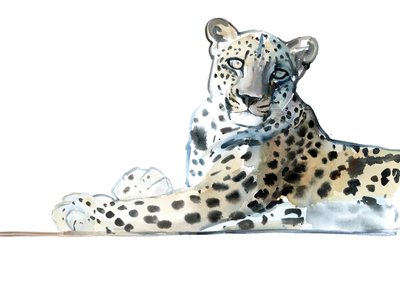 Tilt（Arabian Leopard）、2015、（水彩、ガッシュ、紙） 作： Mark Adlington