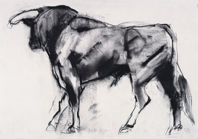 Toro Azul、研究（木炭紙） 作： Mark Adlington