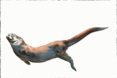不明なタイトル 作： Mark Adlington