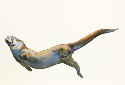 ベルベット、2014、（紙に水彩） 作： Mark Adlington