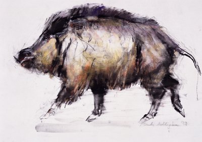 イノシシ、1999（紙に黒鉛、コント、木炭） 作： Mark Adlington