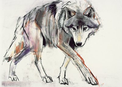 オオカミ（紙のミクストメディア） 作： Mark Adlington