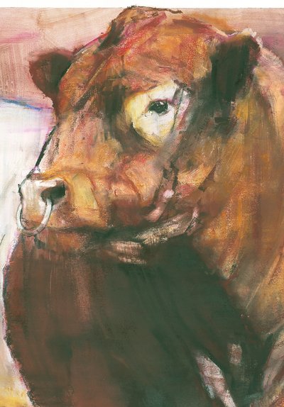 Zeus、Red Belted Galloway Bull、2006ミクストメディア、275255の紙の詳細 作： Mark Adlington
