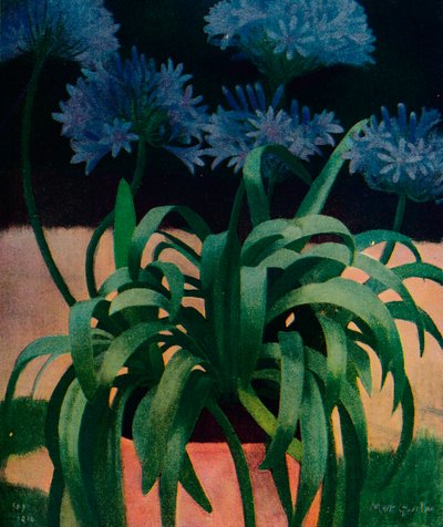 アガパンサス、1914、c1932 作： Mark Gertler