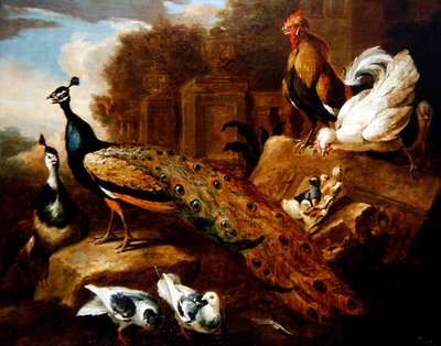クジャク、ハトなどの鳥とクラシックな建物（油彩・キャンバス） 作： Marmaduke (attr. to) Cradock