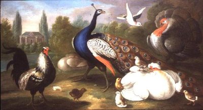 川のほとりの孔雀、七面鳥、雌鳥、コケコッコー、鳩 作： Marmaduke Craddock