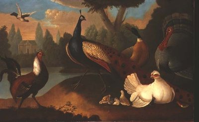 様々な鳥のいる風景 作： Marmaduke Craddock