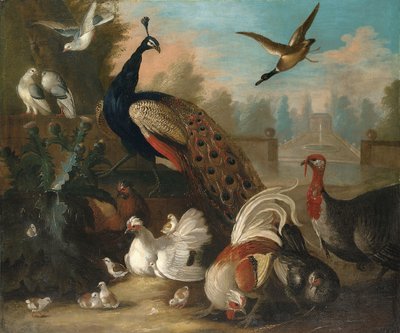 装飾的な風景の中の孔雀と他の鳥 作： Marmaduke Cradock
