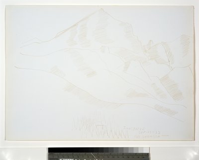家と松の木のある山の風景 作： Marsden Hartley