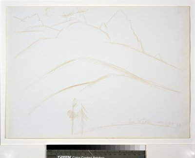 2本の松の木がある山の風景 作： Marsden Hartley