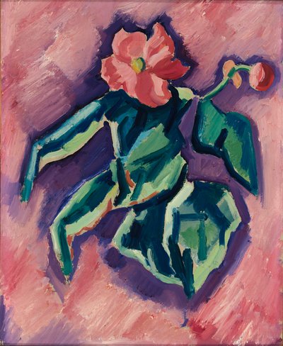 ピンクのベゴニア、1928-1929年。 作： Marsden Hartley