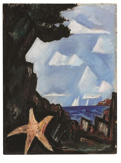 Sea View--Starfish, Nova Inglaterra 作： Marsden Hartley