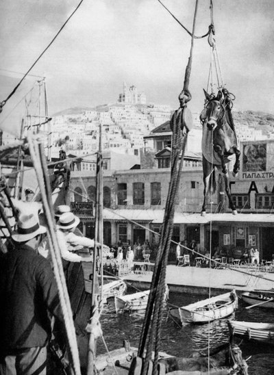 ラバの輸送、ギリシャ、シロス島、1937。 作： Martin Hurlimann