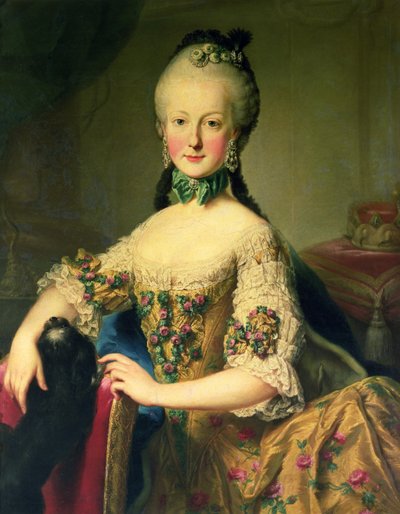 オーストリアのマリアテレジア皇后（1717-80）とフランシス1世（1708-65）の6番目の子、マリアエリザベスハプスブルク-ロートリンゲン大公（1743-1808） 作： Martin II Mytens or Meytens