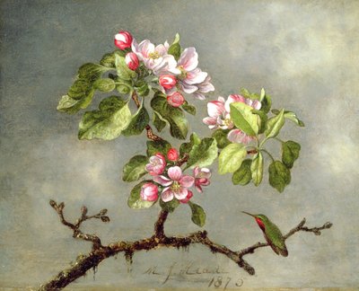 リンゴの花とハチドリ、1875 作： Martin Johnson Heade