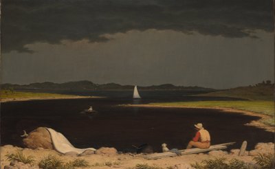 雷嵐に近づいています 作： Martin Johnson Heade