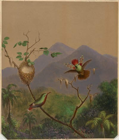 ブラジルのハチドリ III 作： Martin Johnson Heade