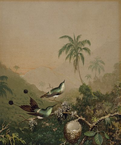 ブラジルのハチドリII、c。 1864-1865（紙に油絵の具を手で塗ったクロリソグラフ） 作： Martin Johnson Heade