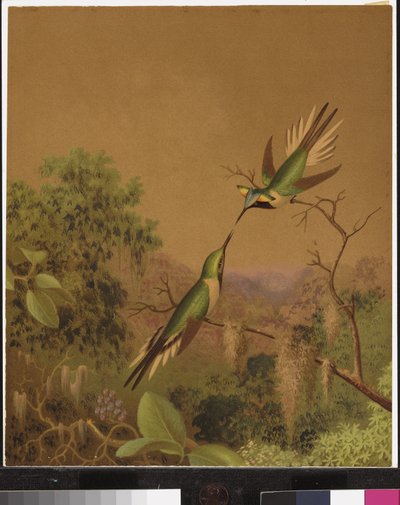 ブラジルのハチドリIV 作： Martin Johnson Heade