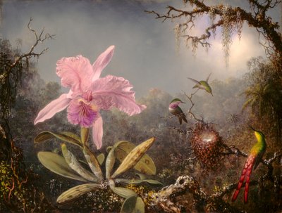 カトレアオーキッドと3羽のハミングバード 作： Martin Johnson Heade