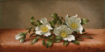 チェロキーローズ 作： Martin Johnson Heade