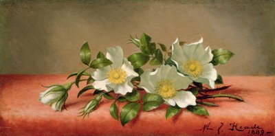 チェロキーローズ、1889年 作： Martin Johnson Heade