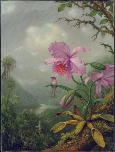 蘭の植物にとまったハチドリ1901 作： Martin Johnson Heade