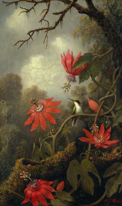 ハチドリとパッションフラワー、c.1875–85 作： Martin Johnson Heade