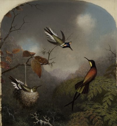 ハチドリ：2つのSungemと1つのクリムゾントパーズ、1866 作： Martin Johnson Heade