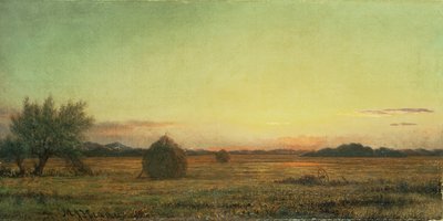 ジャージーメドウズ 作： Martin Johnson Heade