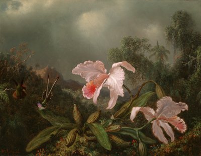 ジャングルランとハチドリ 作： Martin Johnson Heade