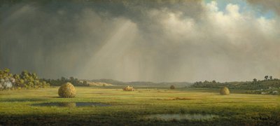 ニューベリーポートメドウズ、ca。 1876-81。 作： Martin Johnson Heade