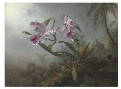 ピンクの蘭と小枝のハチドリ、1875 作： Martin Johnson Heade