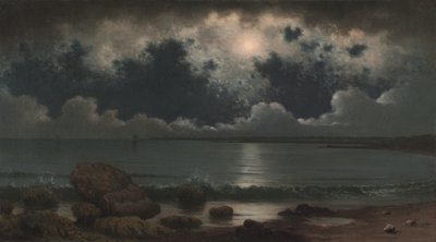 次のアーティストによるアート作品： Martin Johnson Heade