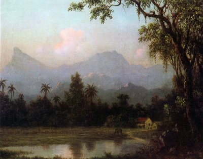 リオデジャネイロ、ブラジル、1865年頃 作： Martin Johnson Heade