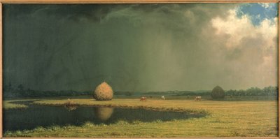 ソルト・マーシュ・ヘイ 1865年頃（キャンバスに油彩） 作： Martin Johnson Heade