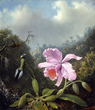 蘭とハチドリのペアのある静物、1890年代頃 作： Martin Johnson Heade