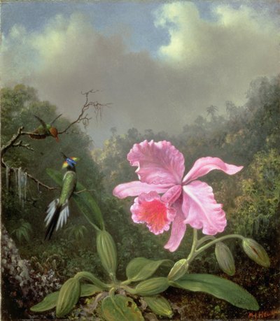蘭とハチドリのペアのある静物、1890年代頃（キャンバスに油彩） 作： Martin Johnson Heade