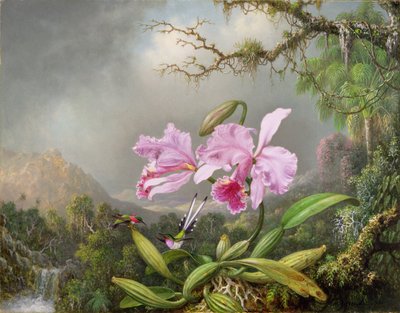 蘭の研究、1872 作： Martin Johnson Heade