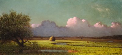 日光と影: ニューベリー湿地 作： Martin Johnson Heade