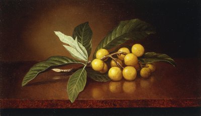 トロピカルプラム、 作： Martin Johnson Heade