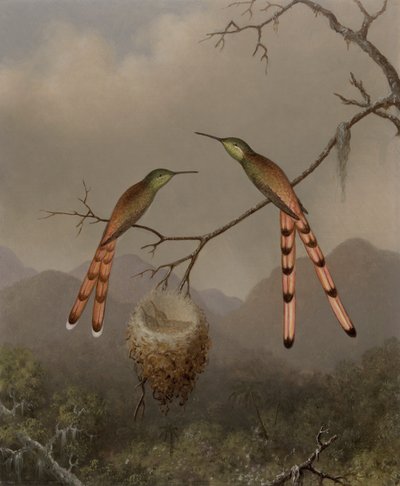 子を持つ 2 つのハチドリ 作： Martin Johnson Heade
