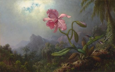 蘭の花と二羽のハチドリ 1875年 （油彩・キャンバス） 作： Martin Johnson Heade