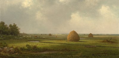 マーシュフィールドの眺め 作： Martin Johnson Heade