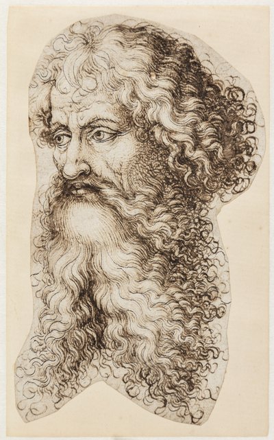 左に 4 分の 3 のプロファイルでひげを生やした男の頭 作： Martin Schongauer