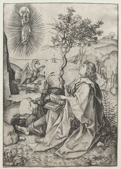 パトモス島の聖ヨハネの伝道者 作： Martin Schongauer
