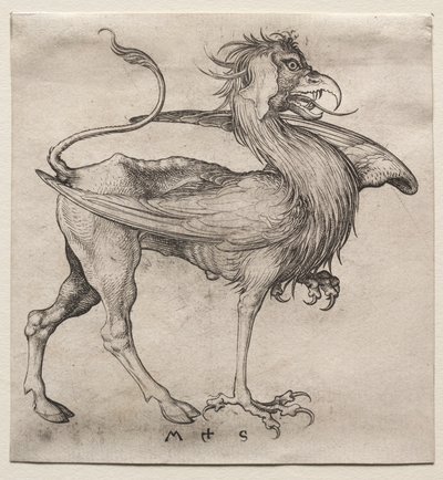 グリフィン 作： Martin Schongauer